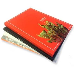Four Cactus yearbooks in a stack
